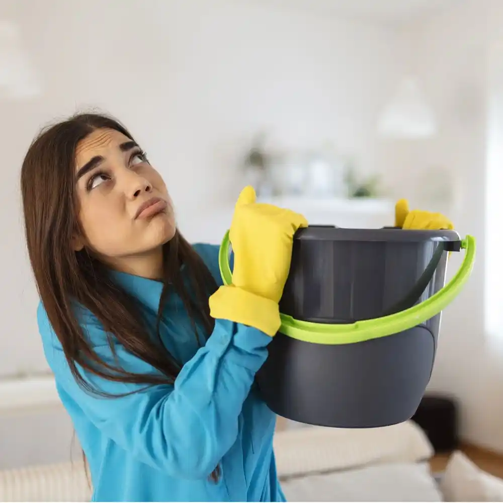 water damage restoration service Terrace Park